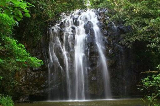 Ellinjaa Falls  - 
