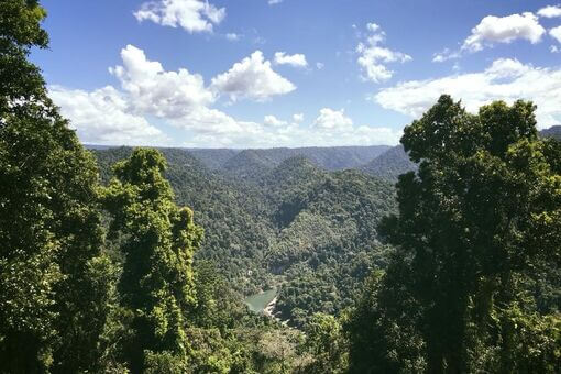 Mamu Tropical Skywalk  - 