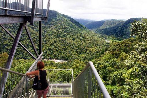 Mamu Tropical Skywalk  - 